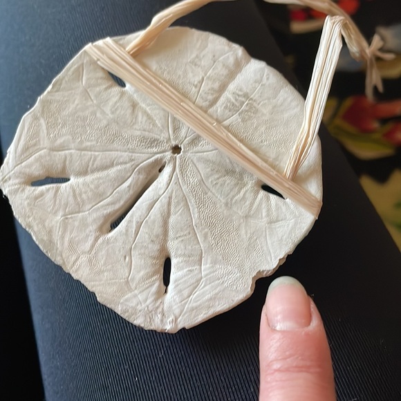 Hand painted sand dollar - Picture 12 of 13